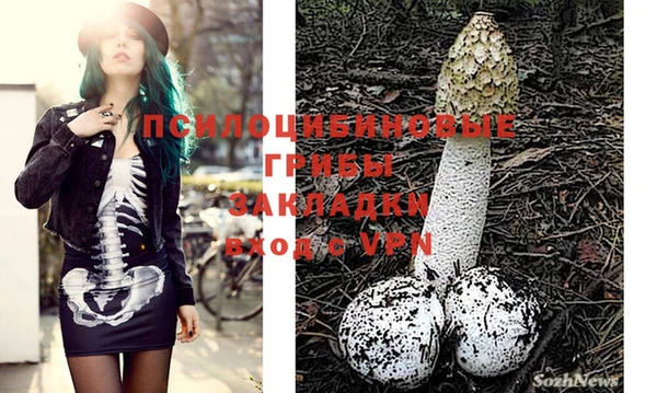 герыч Абинск