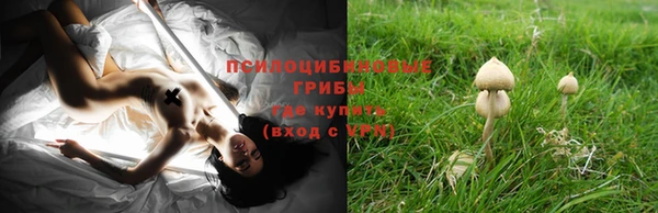 герыч Абинск