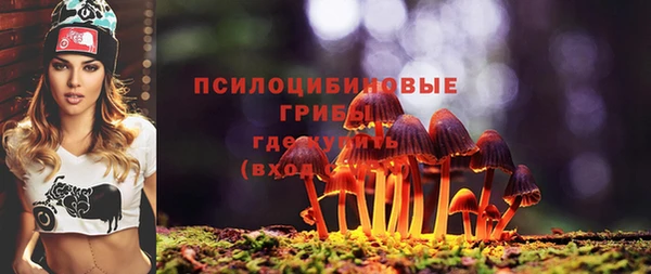 бошки Абдулино