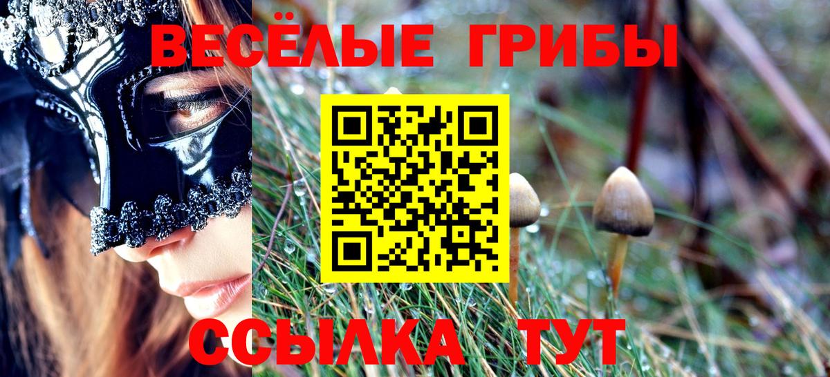 Псилоцибиновые грибы MAGIC MUSHROOMS  Вход с VPN  Ухта 